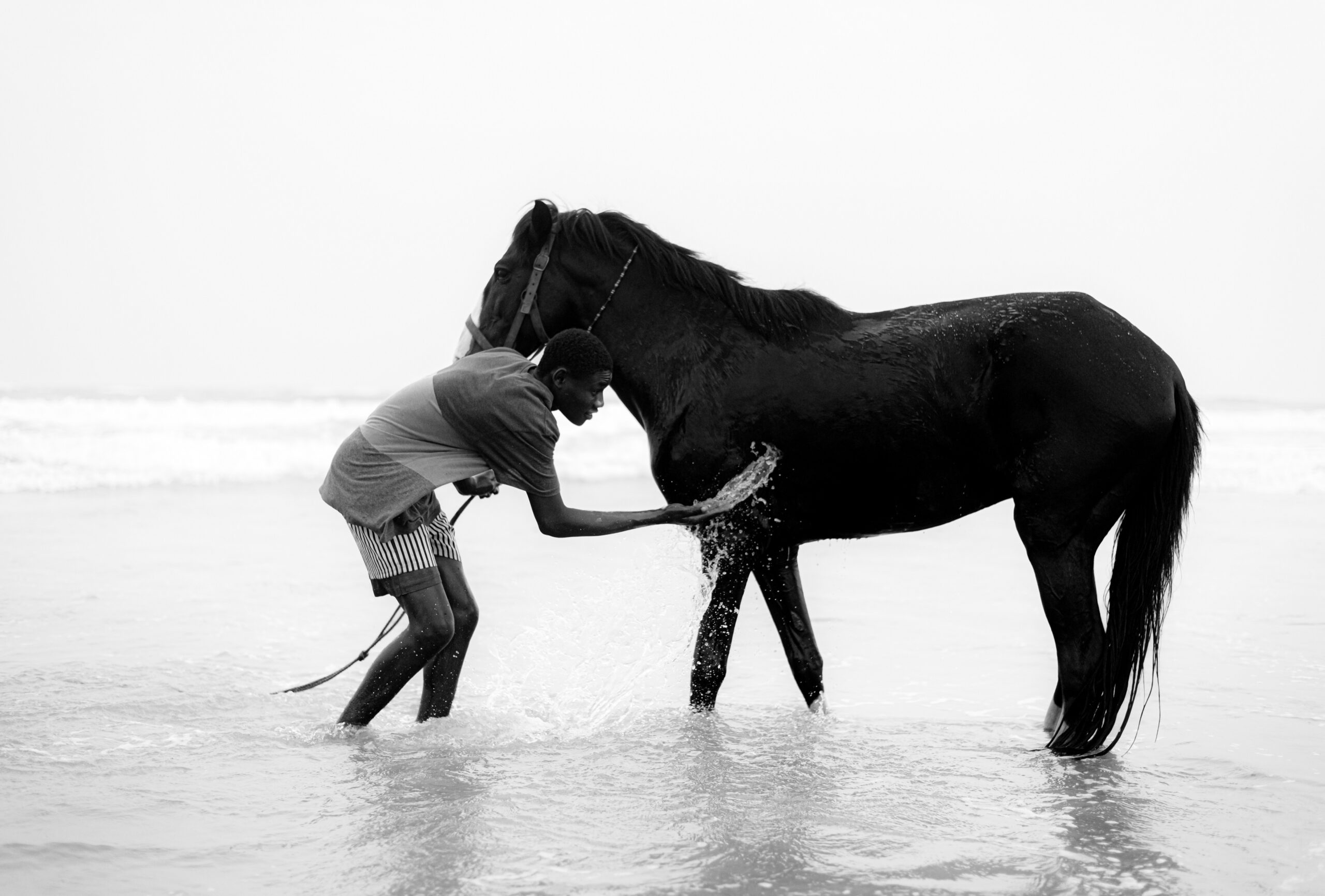 2025 Henki Art Prize longlist Baptism-of-a-Stallion