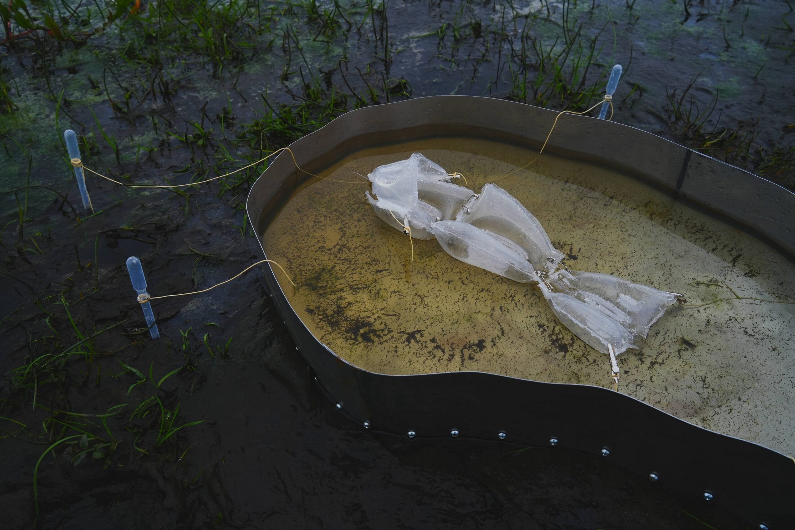 2025 Henki Art Prize longlist