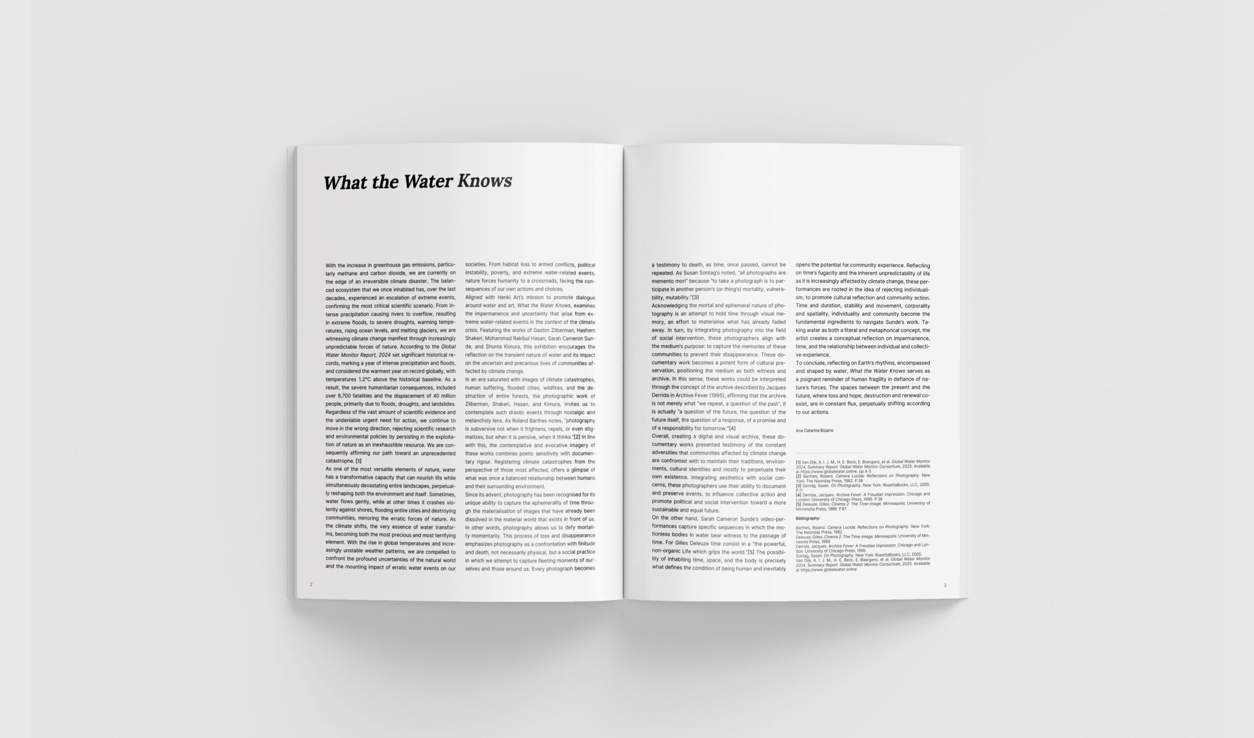 What the Water Knows - Image 2