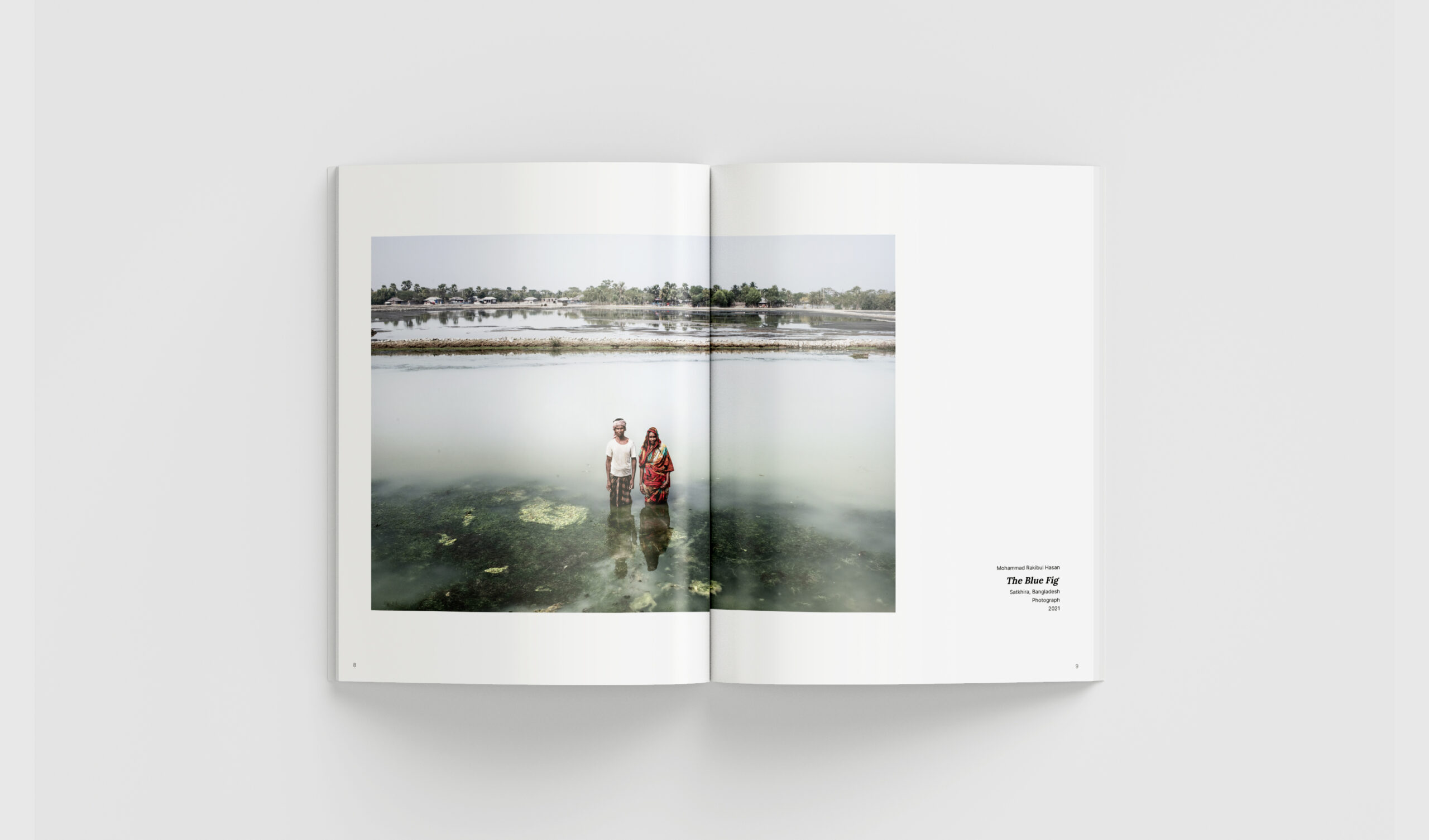 What the Water Knows - Image 4